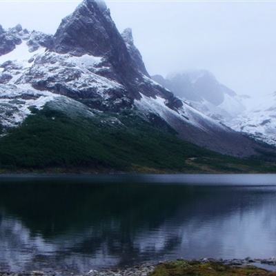 半岛综合APP下载